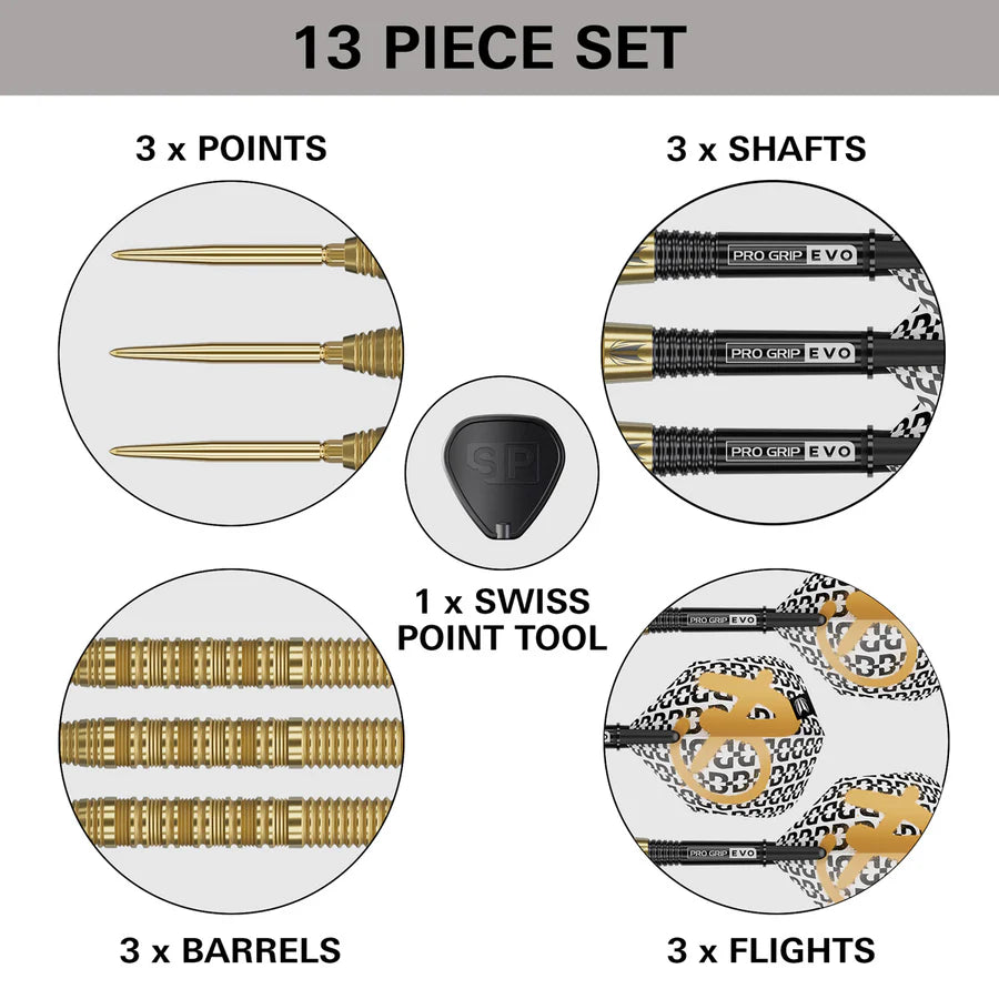 Target Bolide Envy 01 Steel Tip Darts