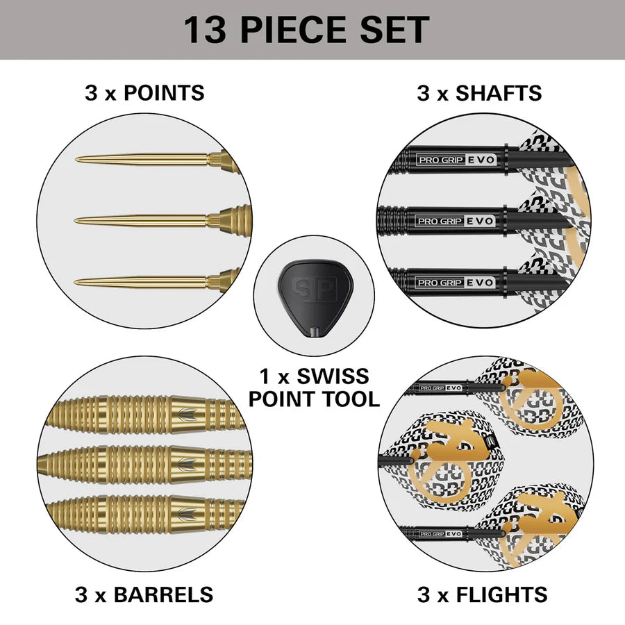 Target Bolide Envy 05 Steel Tip Darts