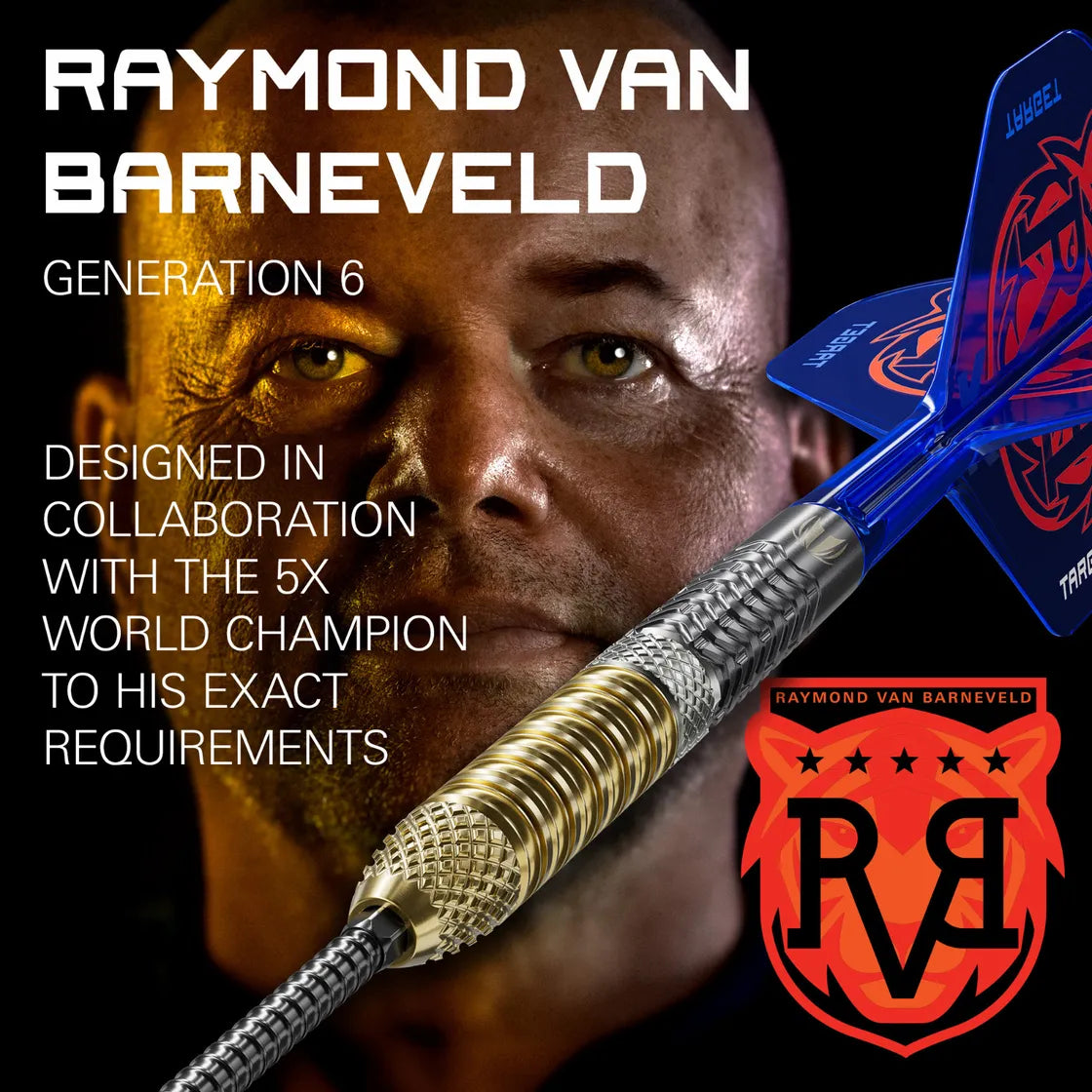 Target Raymond Van Barneveld G6 SP Steel Tip Darts