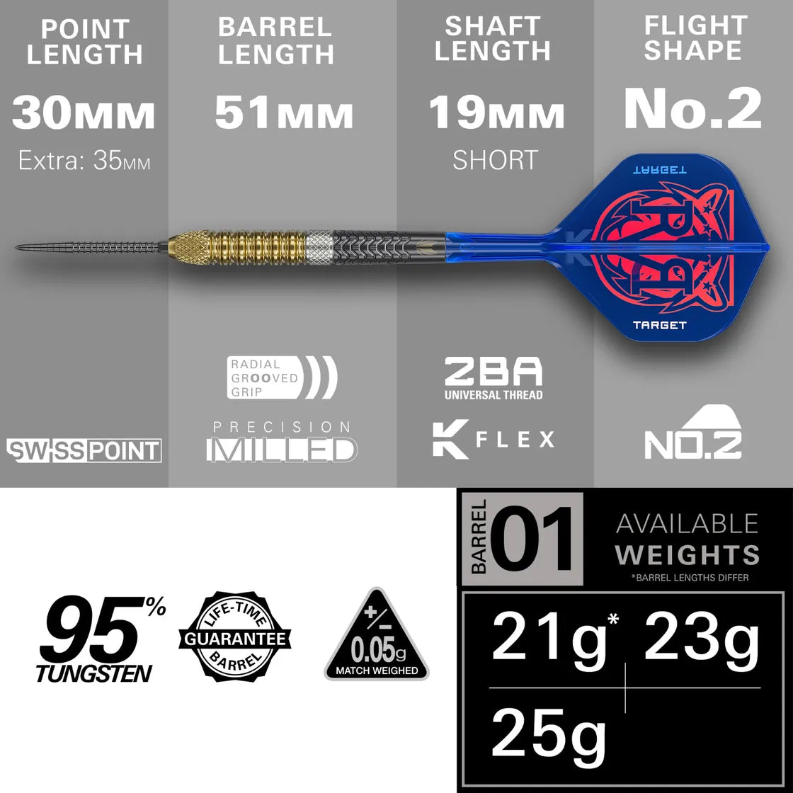 Target Raymond Van Barneveld G6 SP Steel Tip Darts
