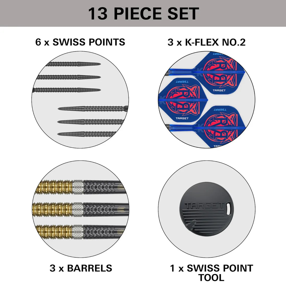 Target Raymond Van Barneveld G6 SP Steel Tip Darts